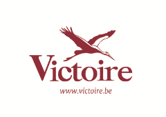 Victoire Properties_Construction